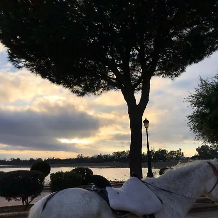 Сasa de vacaciones Casa Rociera ángel Teresa El Rocío